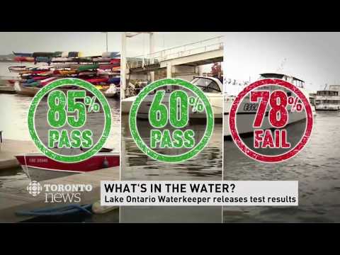 NEW 'Toronto Harbour
