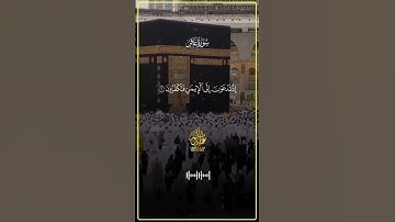 تلاوة مميزة بصوت الشيخ عبدالله مصطفى