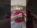 Mixer grinder Repair | Lead wire Replacement #electrical