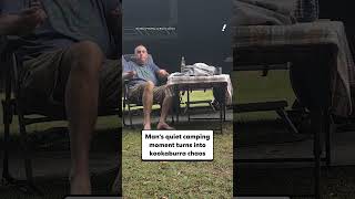Man's quiet camping moment turns into kookaburra chaos | #yahoonewsau