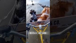 denizden geçen otoban !