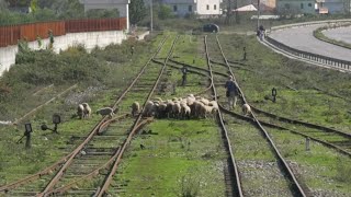 Mbi shina s'kalon më tren, stacioni hekurudhor në Vorë i braktisur, nuk funksionon për asnjë linjë - YouTube