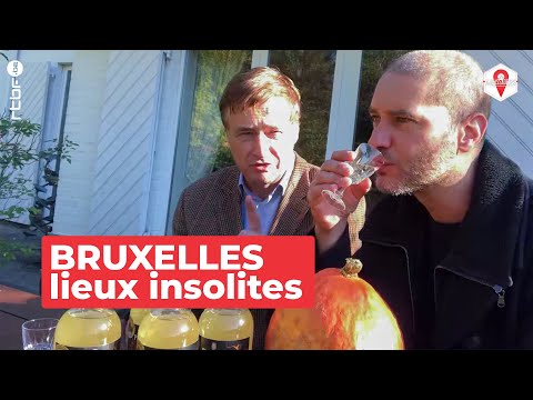 Bruxelles : lieux insolites à découvrir - Les Ambassadeurs