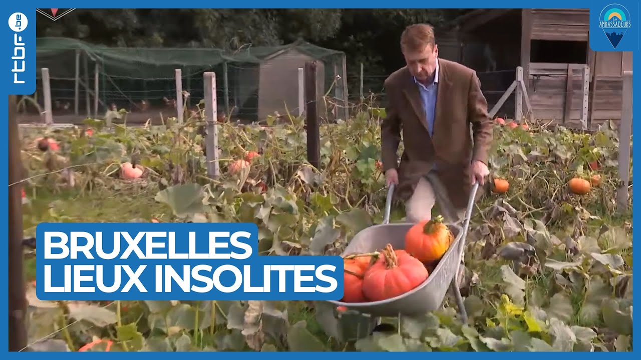 Bruxelles : lieux insolites à découvrir - Les Ambassadeurs