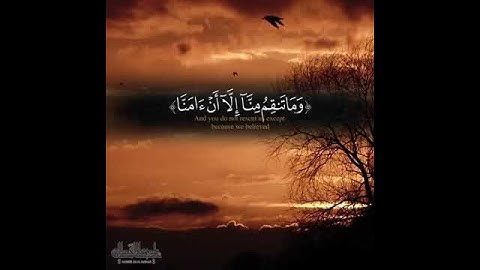 ربّنا أَفرِغ عَلَينا صَبرًا وَتَوَفَّنا مُسلِمينَ #تلاوات #القطامي