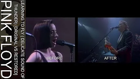 Pink Floyd - Learning To Fly (Delicate Sound Of Th...