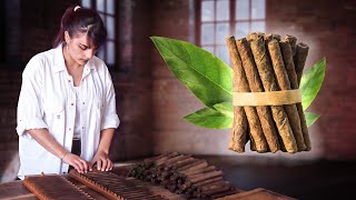 PURE artisans. Manual elaboration of TOBACCO (cultivation and drying of the plant) in 1998