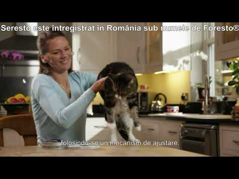 Video: Căpușele și pisica ta