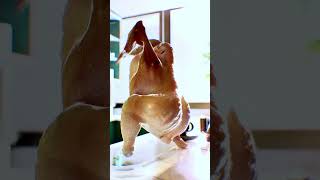 Liquidator Twurkey #Chelsea #Liquidator #premierleague
More animation crated using traditional 3d animation software. Hope this brings you joy! Watch it as many times as you can lol Liquidator Twurkey #Chelsea #Liquidator #premierleague