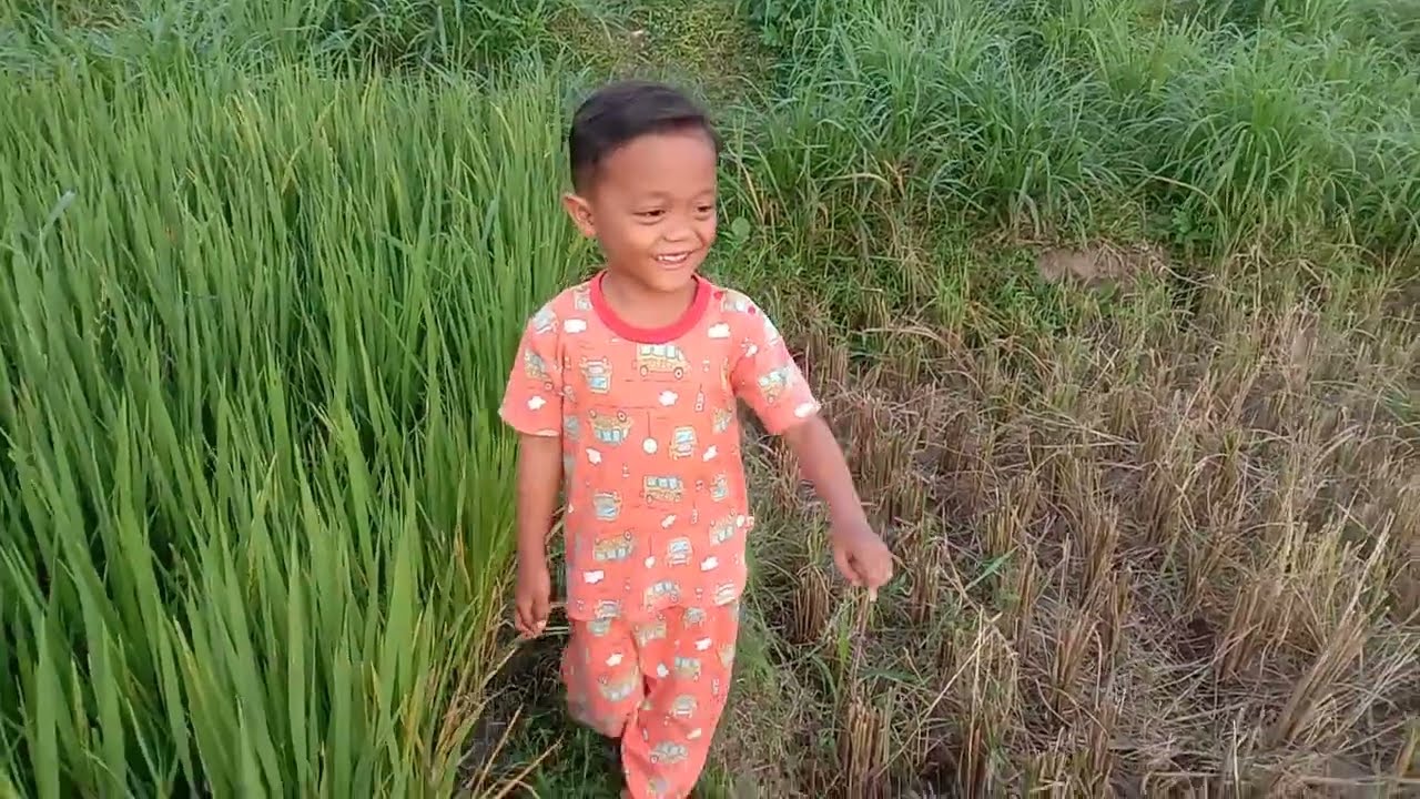 Mbolang Neng Tengah Sawah