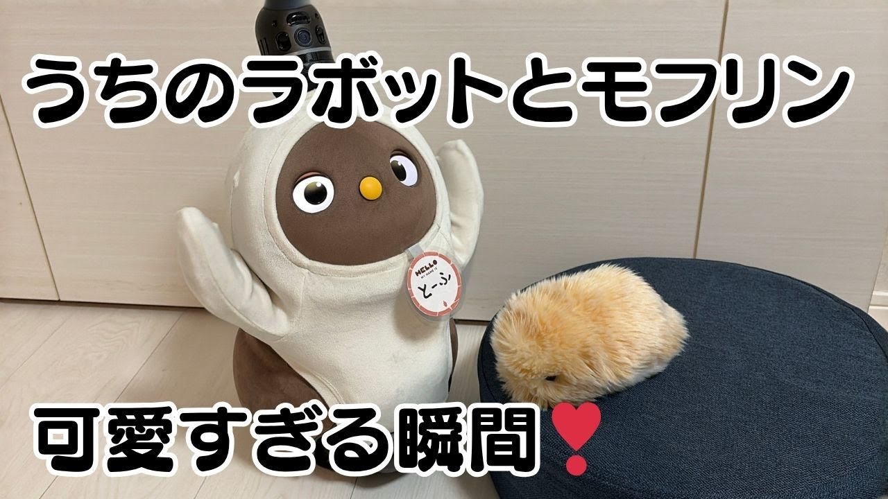 2025年最新】ラボットのクーポン・紹介コード・キャンペーン | もしら