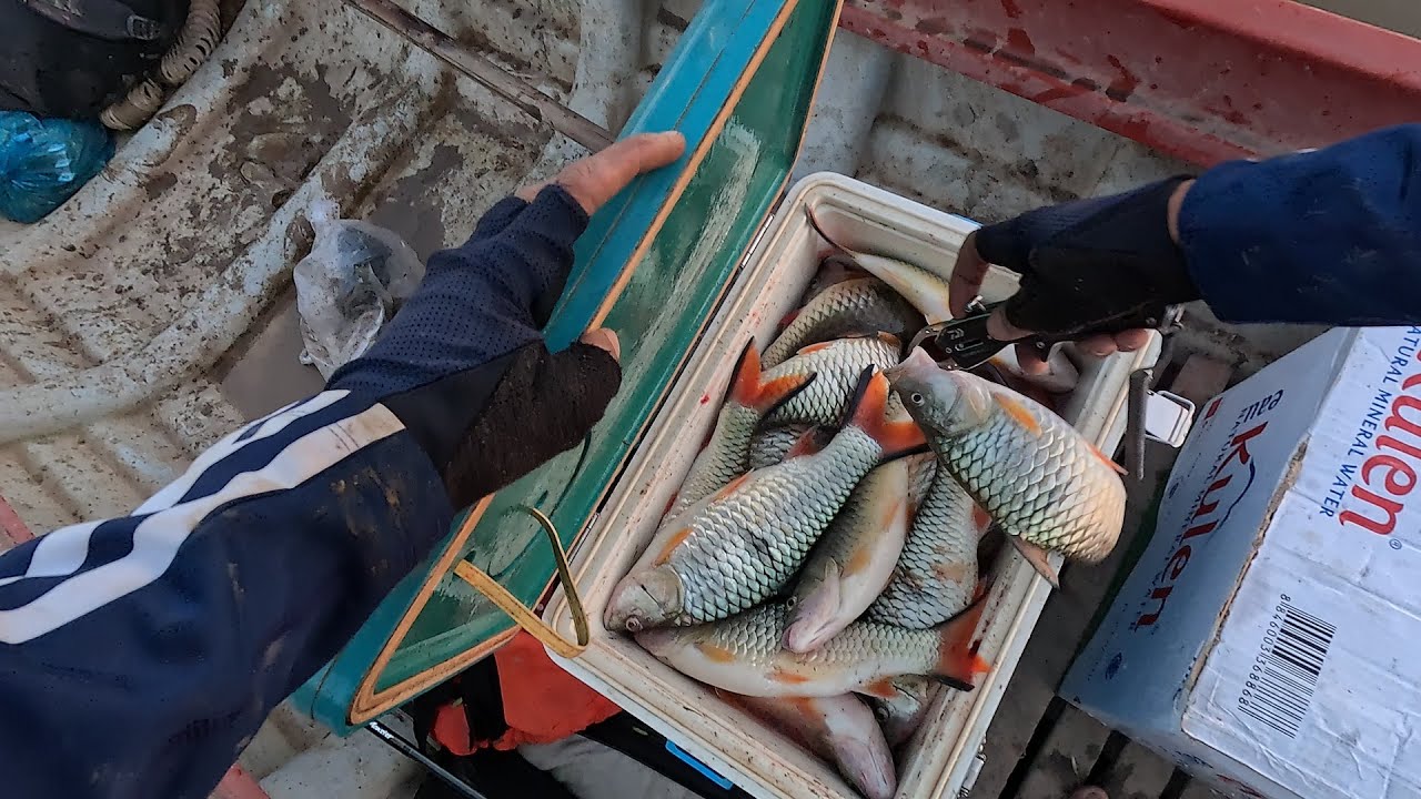 បបក់ត្រីខ្មាន់នៅទន្លេសាប