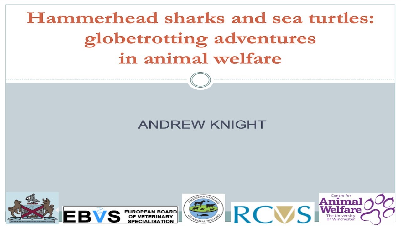 Animal welfare careers YouTube