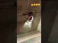 #funny