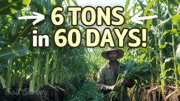The Crop That Grows 6 Tons in 60 Days - And Makes Its Own Fertilizer!”