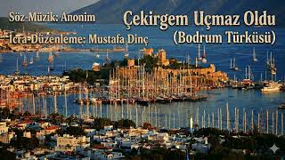 Çekirgem Uçmaz Oldu I Söz - Müzik: Anonim I İcra - Düzenleme: Mustafa Dinç