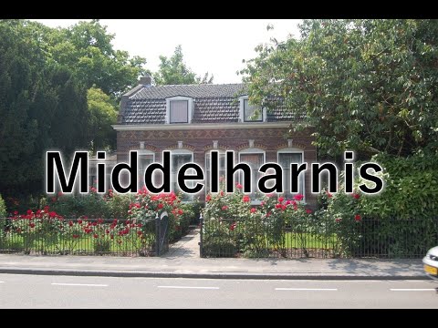 Middelharnis juli 2013