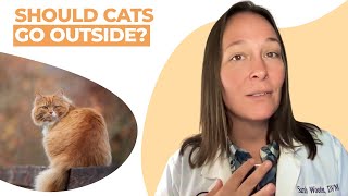 Should Cats Go Outside? (Vet Explains) by Cats 17,639 views 3 weeks ago 10 minutes, 33 seconds