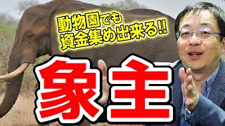 【モノよりコト!?】動物園の象主になる権利をあなたは買いますか!? モノよりコトを売るビジネスに転換する際のポイントとは!?