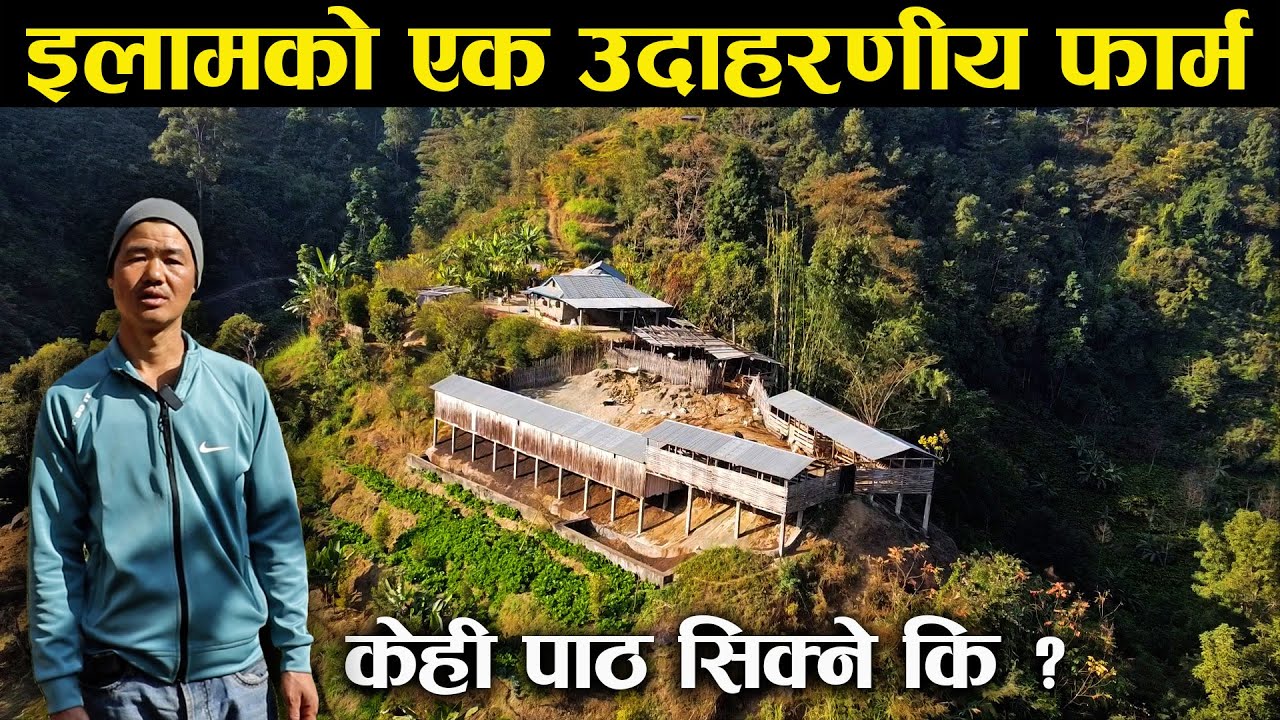 इलामका युवाको उदाहरणीय फार्म,केही पाठ सिक्ने कि ?