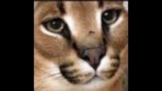 How to cheese nothcom in ftc