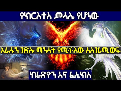 ቪዲዮ: እራስን የሚያድን “ፊኒክስ”-የመከላከያ ኮዶች ባህሪዎች ፣ ሁለንተናዊ የራስ-አድን-የጋዝ ጭምብል የማጣሪያ ሕይወት