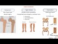 BONE DISORDERS AND TREATMENT