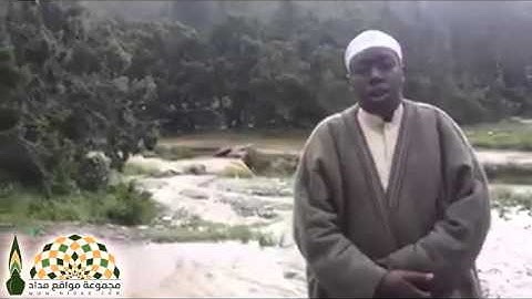 لقد نزلتْ عليَّ الليلةَ آياتٌ ويلٌ لمن قرأها ولم يتفكَّرْ فيها...
