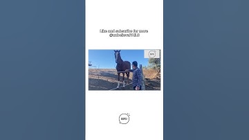 Epic Funny Fails 2024 | #3 | Crazy Fails Compilation Videos