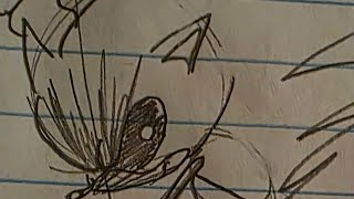 Short Duowipe - Lay.’s Map Testing