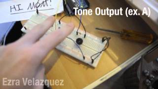Celebrity Tone Outputs Lab - Arudino Net Worth