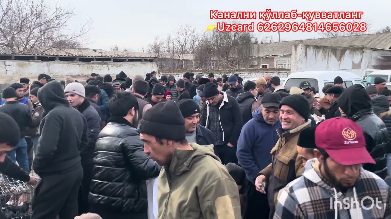 ДАХШАТ КЎРИНГ😱ЖИЗЗАХ КАБУТАР БОЗОРИ 28.12.2025