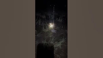 Bẩy vạc đơn giản và hiệu quả