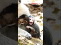 ママ何か間違えてない!?