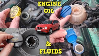 Engine Oil & Fluids - Volkswagen Polo 9N