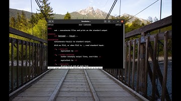 cat command in Linux | Manipulating the cat | Ubuntu