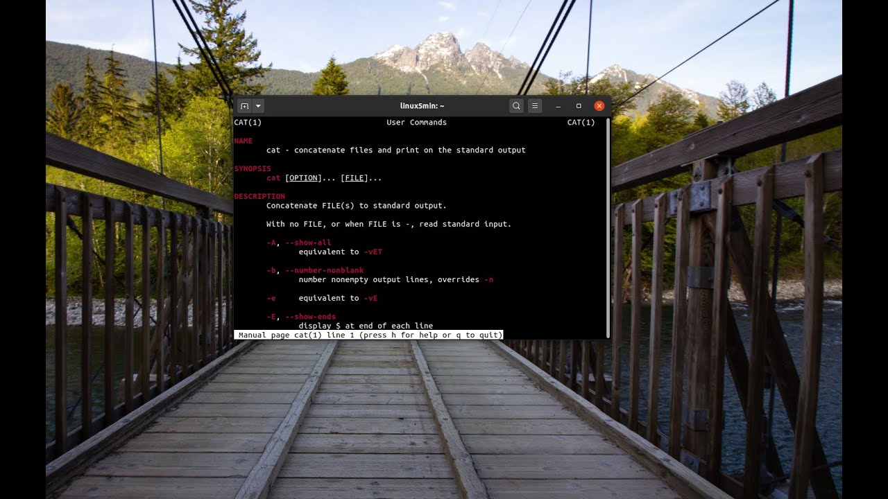 cat command in Linux Manipulating the cat Ubuntu YouTube
