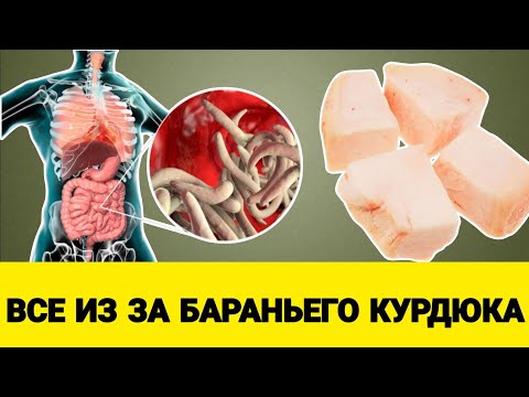 КУРДЮК: Какие Болезни лечит бараний курдюк? #курдюкпольза #баранийкурдюк