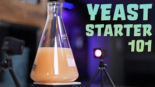 How to Make a Yeast Starter in 10 Steps