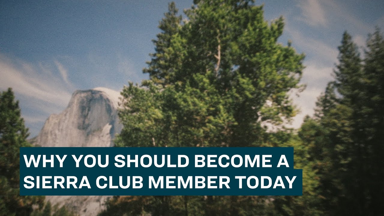 why-you-should-become-a-sierra-club-member-today-youtube