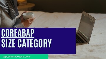 What is Size Category