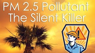 The Invisible Killer PM 2.5 Air Pollutant Explained