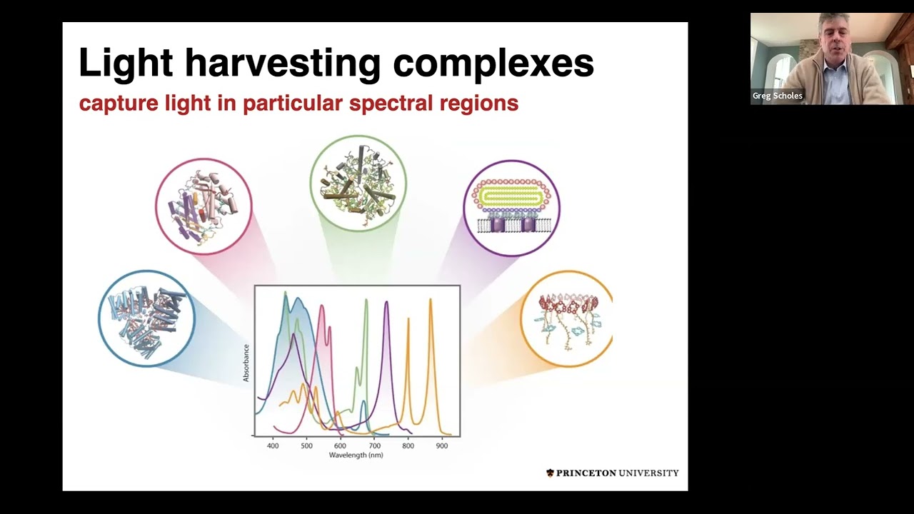 2023 Pre-GRC Quantum Biology introductory lectures, Day 3: Excitonic energy transfer