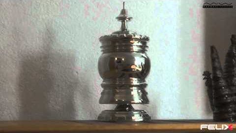 FELIX render animation