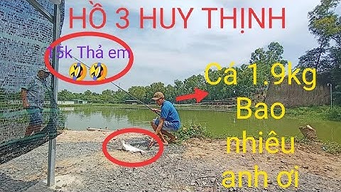 HỒ 3 HUY THỊNH / Củ Chi || Cá dưới 2kg thu 15.000đ / 1 con