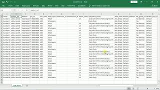 Import CSV Customer