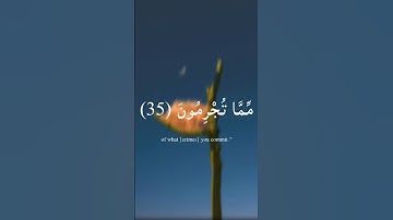ماتيسر من سورة هود القارئ إسلام صبحي