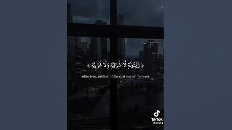 الله نور السماوات و الأرض 🌎 اجمل تلاوة للقارئ احمد خضر إعتزل هادا العالم 🥺