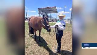 Fonner Park State 4H Horse Show in Review