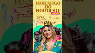 Marilia Mendonca -  Morango do Nordeste #shorts